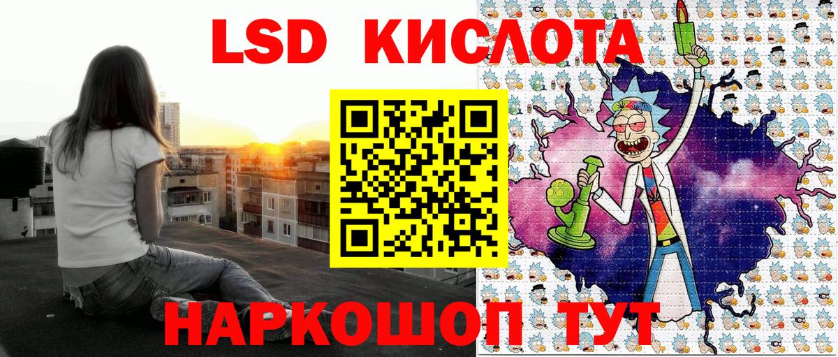 Галлюциногенные грибы Дивногорск