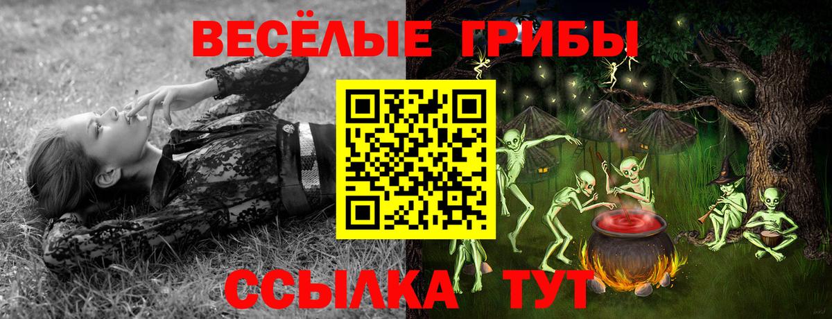 где купить   Галлюциногенные грибы MAGIC MUSHROOMS  Вход с VPN  Дивногорск  Галлюциногенные грибы мухоморы 