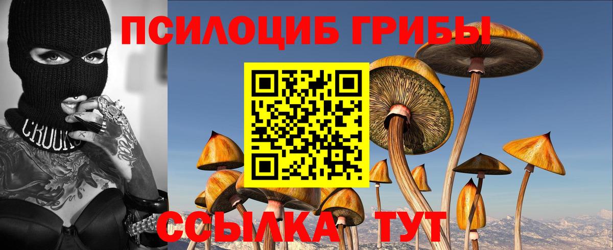 Псилоцибиновые грибы мицелий Дивногорск